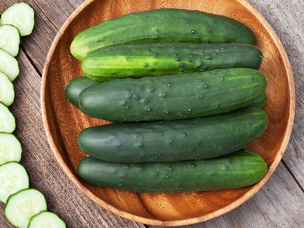 Field Cucumber