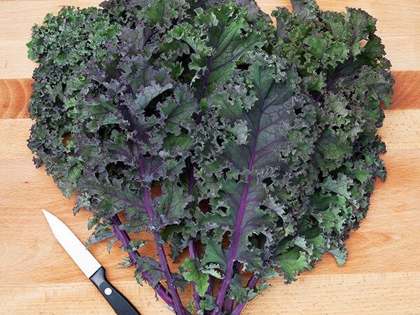 Red Curly Kale