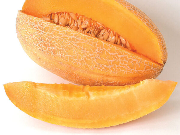 Cantaloupe
