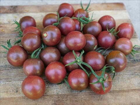 Cherry Tomato- Purple