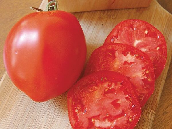 Sauce Tomato- Amish Paste