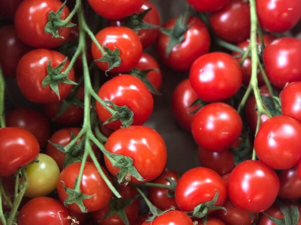 Cherry Tomato- Red