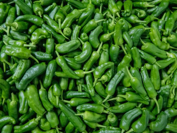 Shishito Peppers (Frying/Cooking)