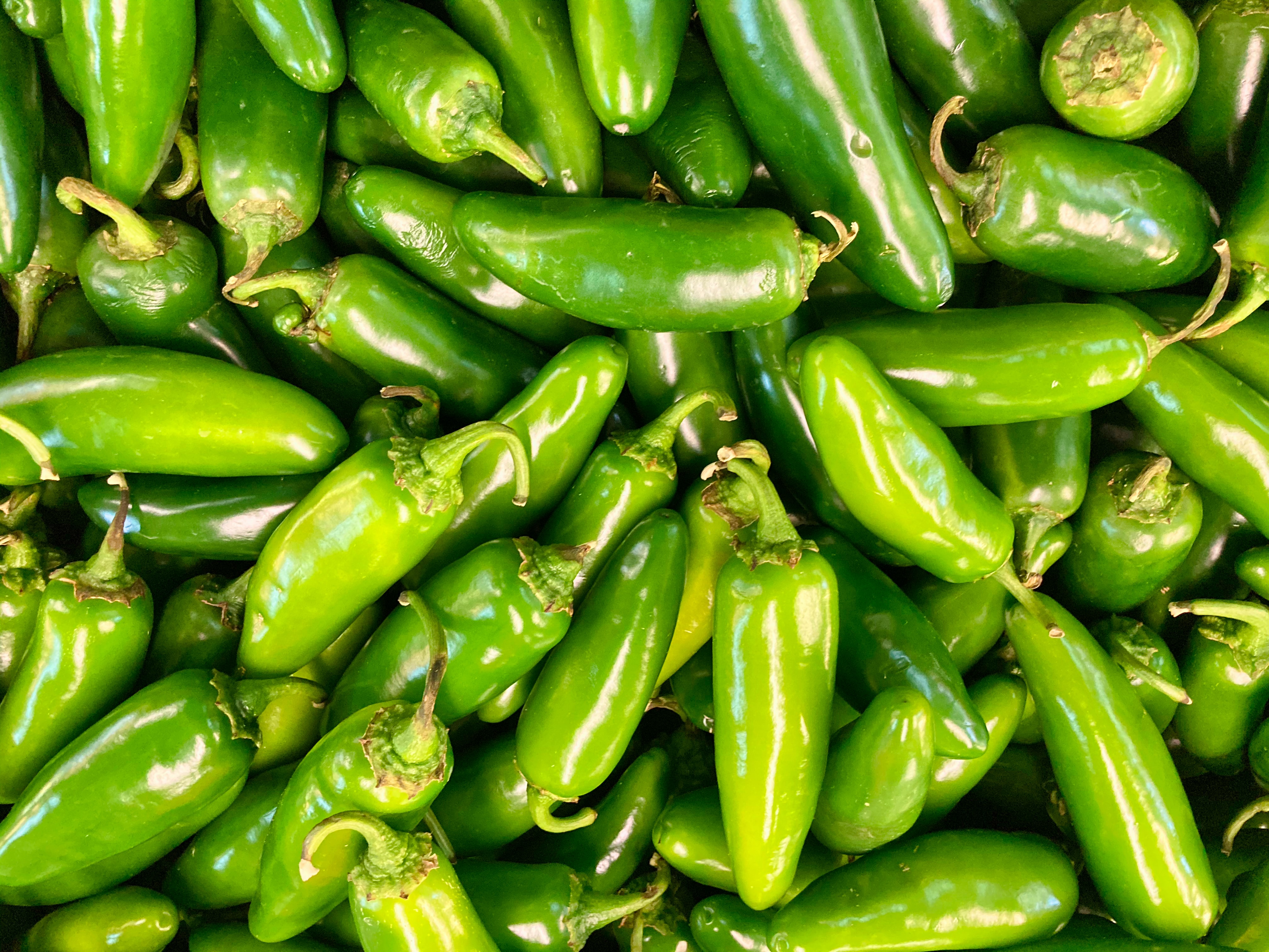 Hot Pepper- Jalapeno
