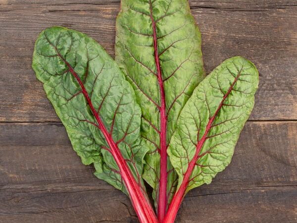 Red Swiss Chard