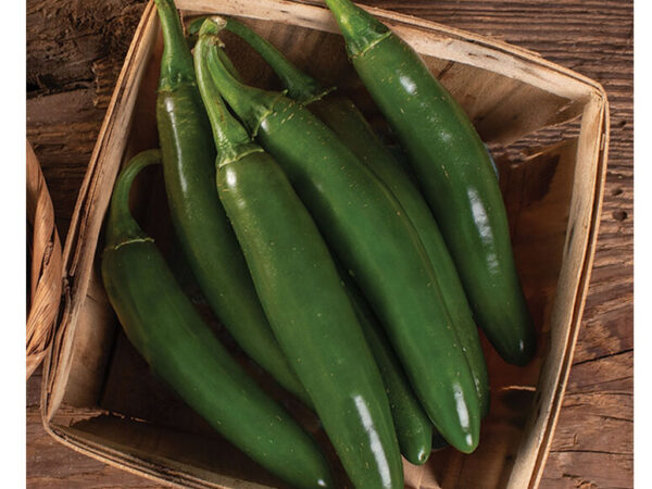 Hot Pepper- Serrano