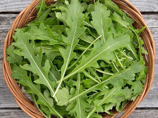 Arugula
