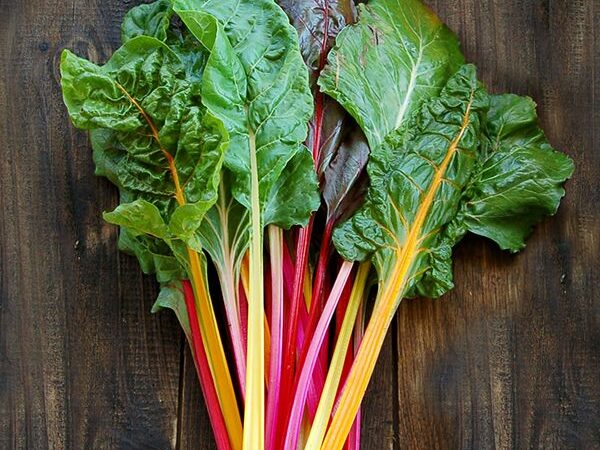 Rainbow Swiss Chard
