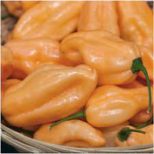 Peach Habanero.jpg