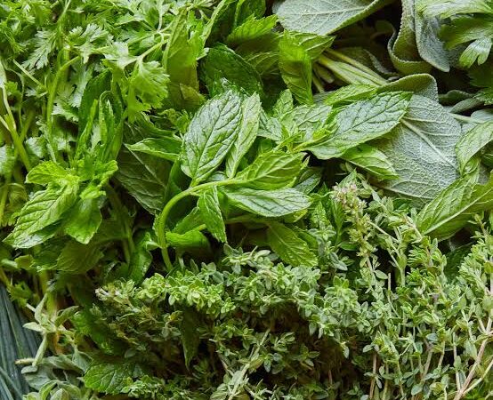 Herbs