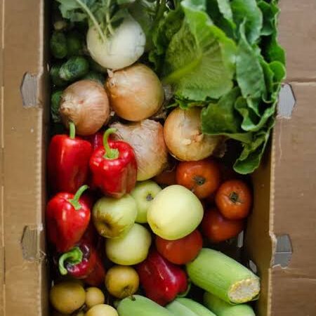 CSA Delivery